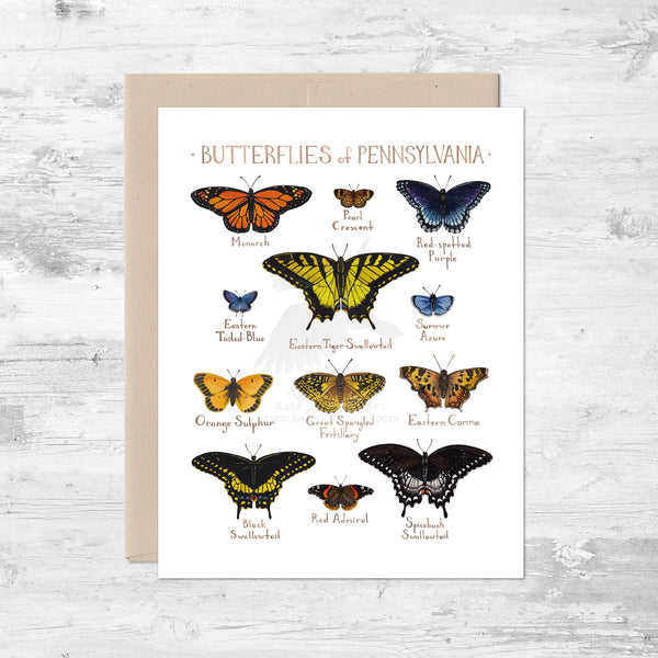 Butterflies of Pennsylvania Note Card