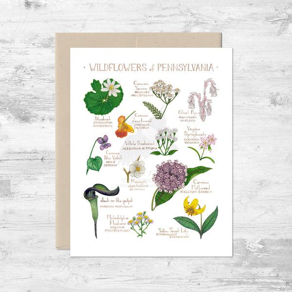 Wildflowers of Pennsylvania Note Card