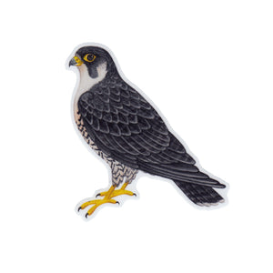 Wholesale Vinyl Sticker: Peregrine Falcon