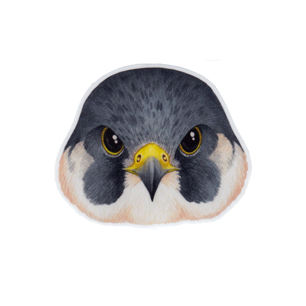 Wholesale Vinyl Sticker: Peregrine Falcon Face