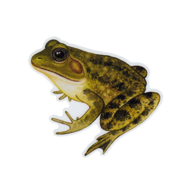 Wholesale Vinyl Sticker: Pig Frog
