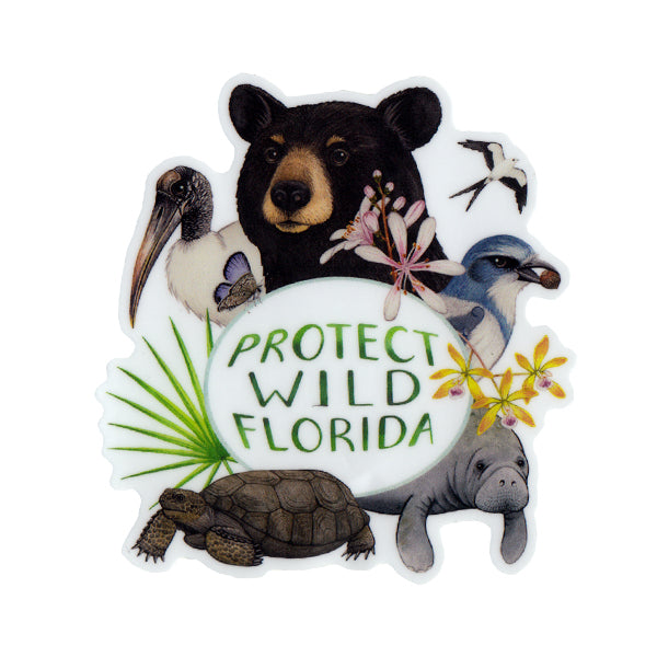 Wholesale Vinyl Sticker: Protect Wild Florida