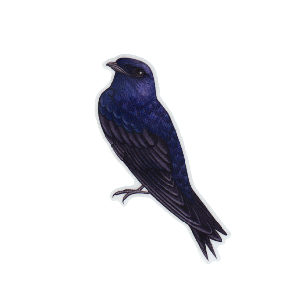 Wholesale Vinyl Sticker: Purple Martin