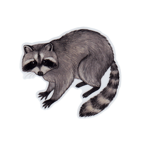 Wholesale Vinyl Sticker: Raccoon