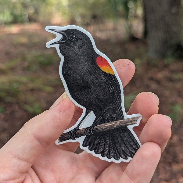 Wholesale Vinyl Sticker: Red-winged Blackbird Singing