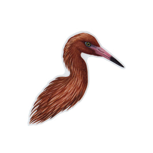 Wholesale Vinyl Sticker: Reddish Egret