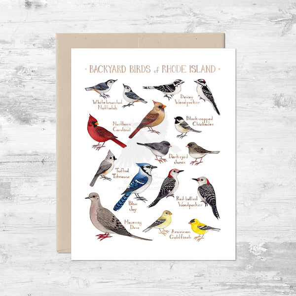 Backyard Birds of Rhode Island Note Card