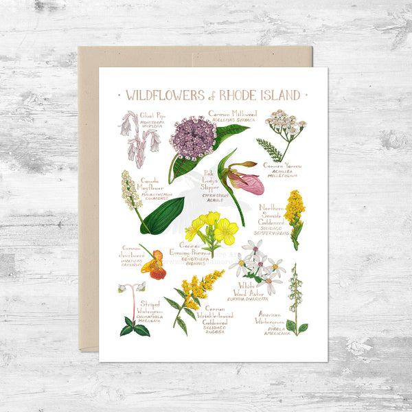 Wildflowers of Rhode Island Note Card