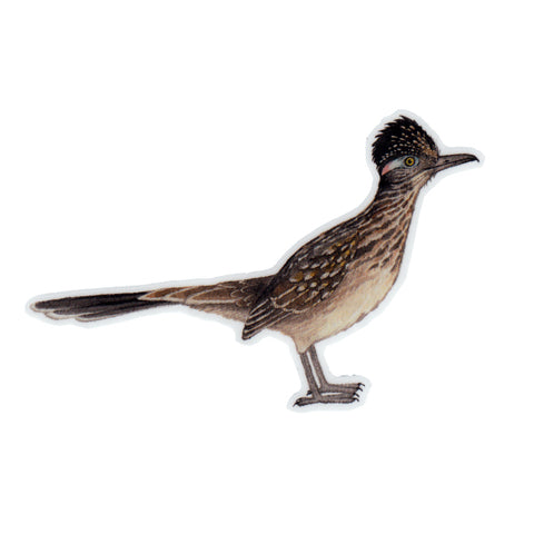 Wholesale Vinyl Sticker: Greater Roadrunner