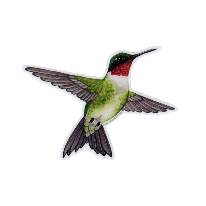 Wholesale Vinyl Sticker: Ruby-throated Hummingbird