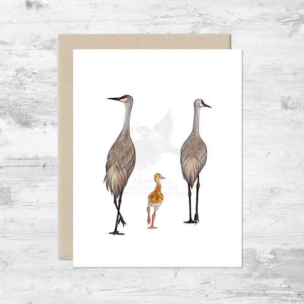 Sandhill Crane Family of 3 Note Card