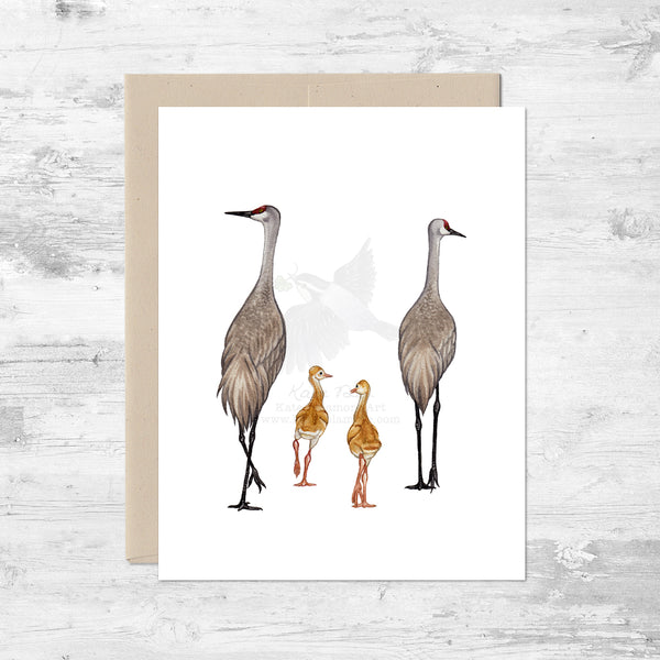 Sandhill Crane Family of 4 Note Card