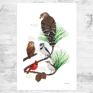 Wholesale Field Guide Art Print: Wilcox Exclusive Birds in Slash Pine