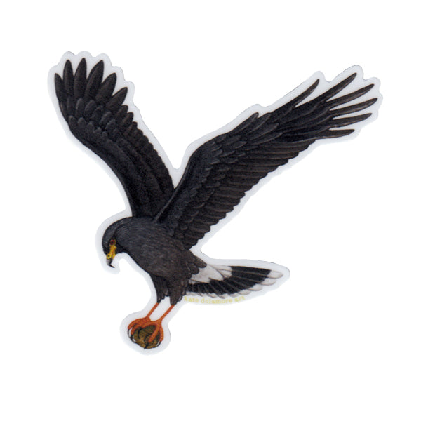 Wholesale Vinyl Sticker: Snail Kite