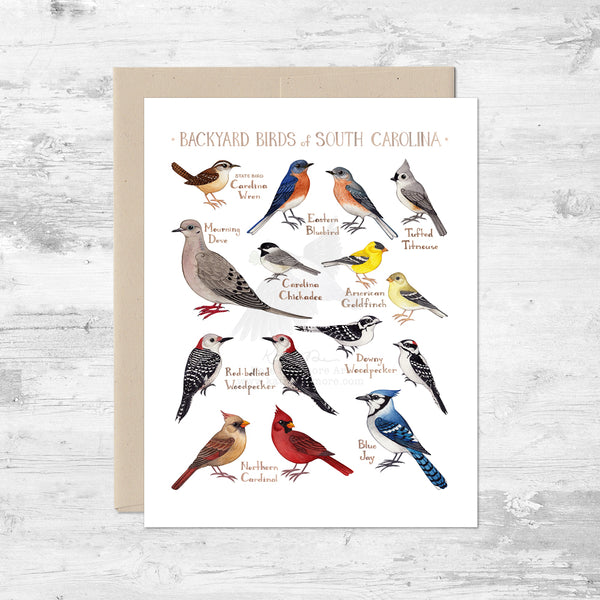 Backyard Birds of South Carolina Note Card