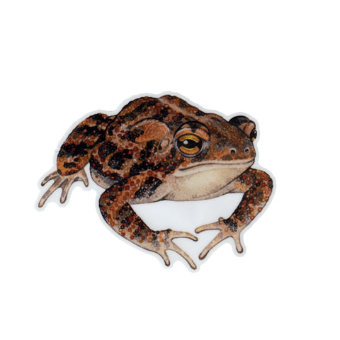 Wholesale Vinyl Sticker: Southern Toad