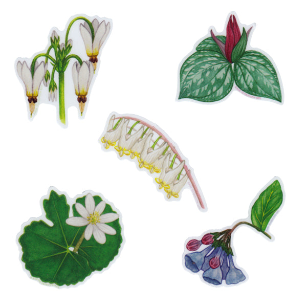Wholesale Vinyl Sticker: Spring Ephemerals Set