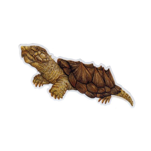 Wholesale Vinyl Sticker: Suwannee Alligator Snapping Turtle