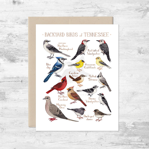 Backyard Birds of Tennessee Note Card