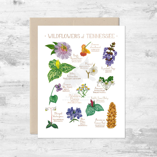 Wildflowers of Tennessee Note Card