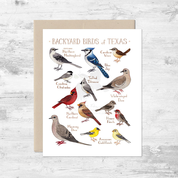 Backyard Birds of Texas Note Card