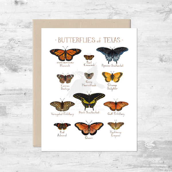 Butterflies of Texas Note Card