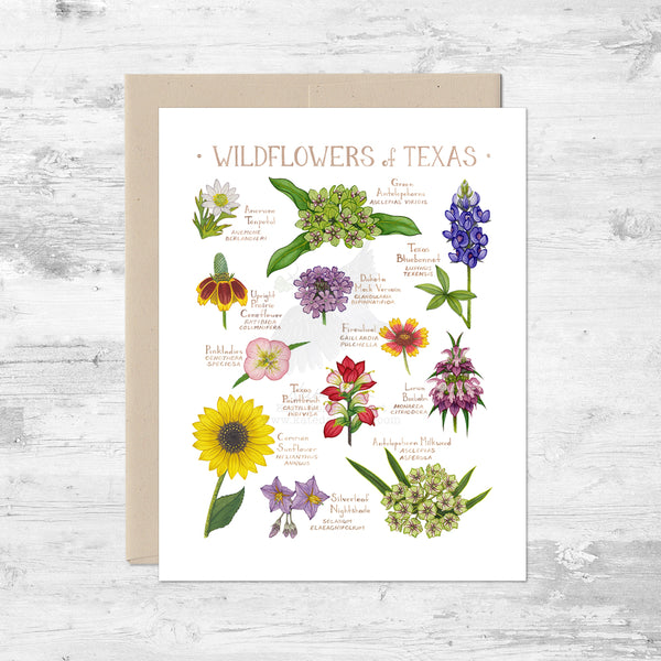 Wildflowers of Texas Note Card