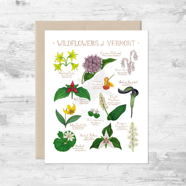 Wildflowers of Vermont Note Card
