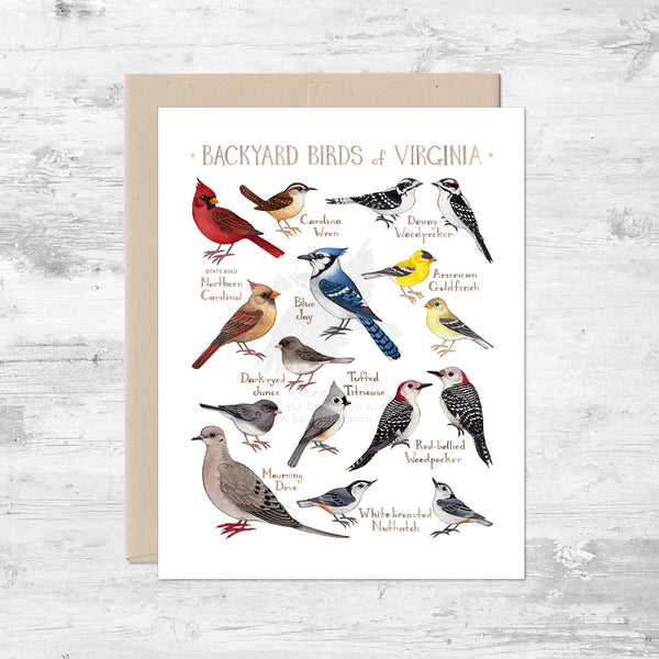 Backyard Birds of Virginia Note Card
