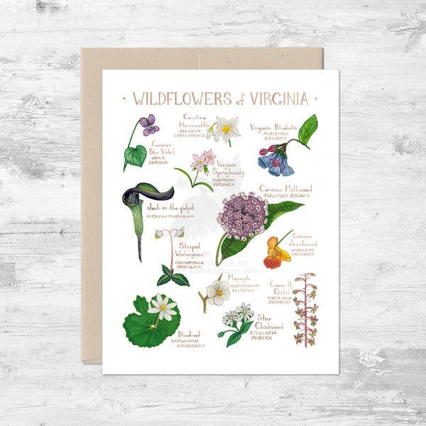 Wildflowers of Virginia Note Card