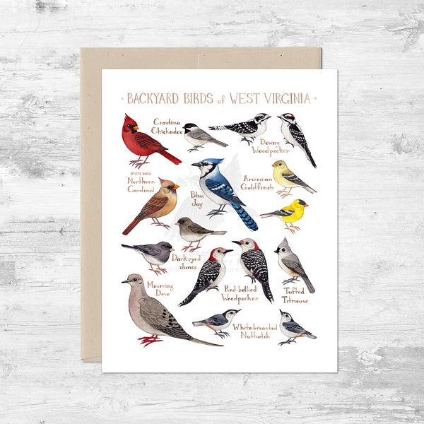 Backyard Birds of West Virginia Note Card