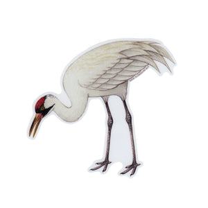 Wholesale Vinyl Sticker: Whooping Crane