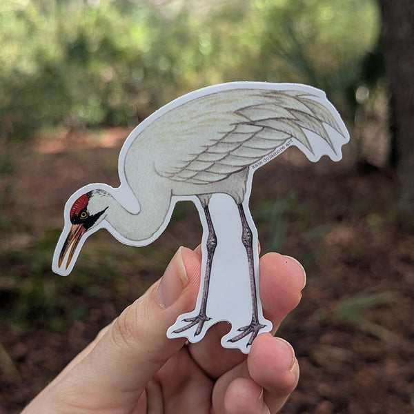Wholesale Vinyl Sticker: Whooping Crane