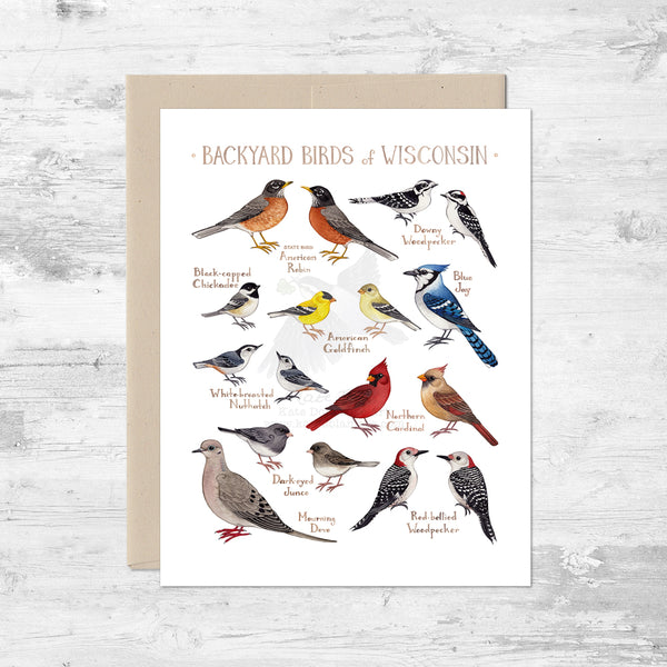 Backyard Birds of Wisconsin Note Card