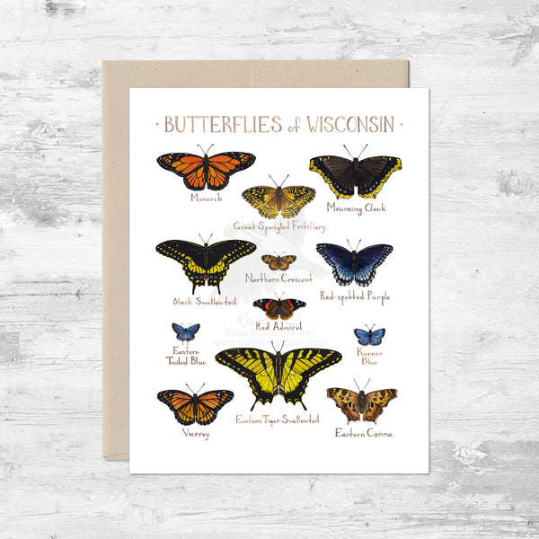 Butterflies of Wisconsin Note Card