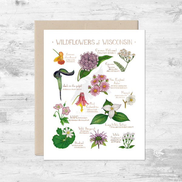 Wildflowers of Wisconsin Note Card