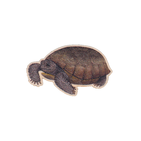 Wholesale Wooden Pins: Gopher Tortoise