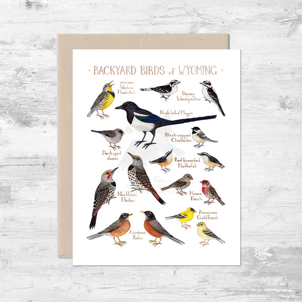 Backyard Birds of Wyoming Note Card