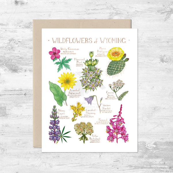Wildflowers of Wyoming Note Card