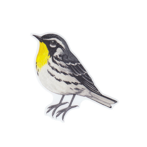 Wholesale Vinyl Sticker: Yellow-throated Warbler