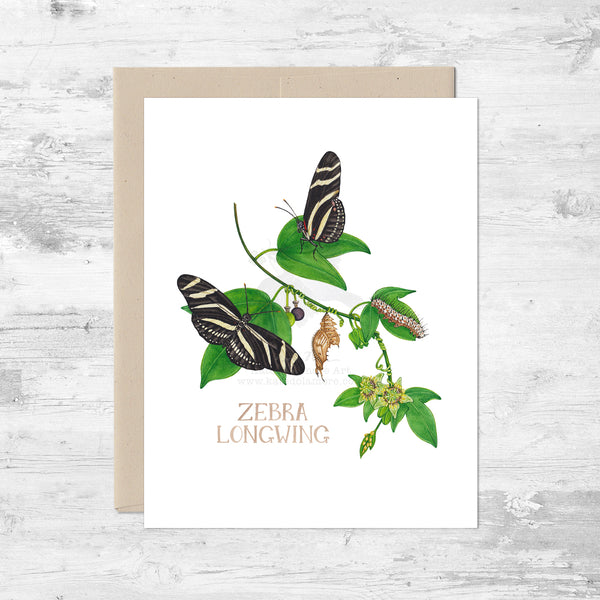 Zebra Longwing Life Cycle Note Card