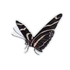 Wholesale Vinyl Sticker: Zebra Longwing