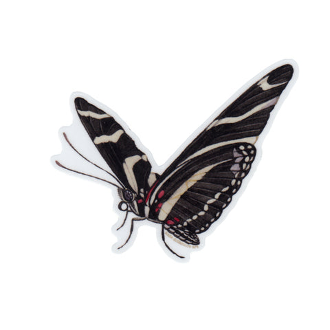 Wholesale Vinyl Sticker: Zebra Longwing