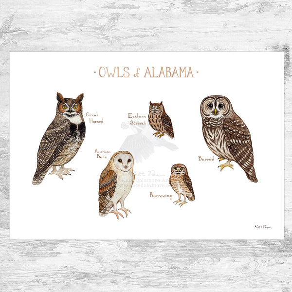 Wholesale Owls Field Guide Art Print: Alabama
