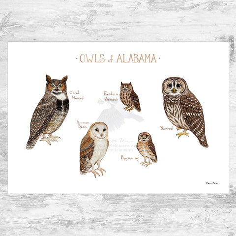 Wholesale Owls Field Guide Art Print: Alabama