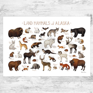 Wholesale Mammals Field Guide Art Print: Alaska