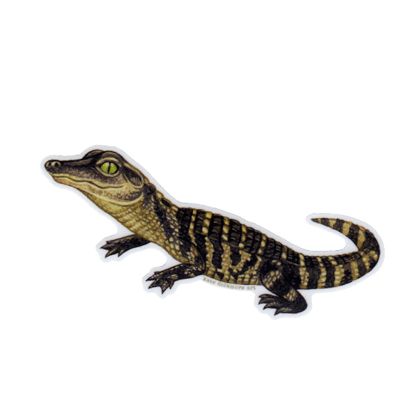 Wholesale Vinyl Sticker: Alligator Baby