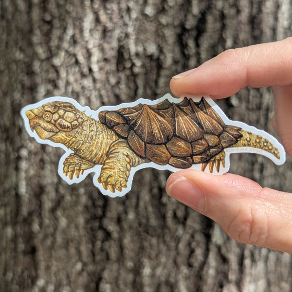 Wholesale Vinyl Sticker: Suwannee Alligator Snapping Turtle