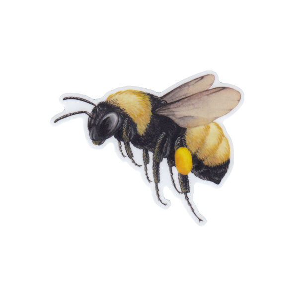 Wholesale Vinyl Sticker: American Bumblebee