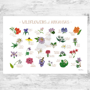 Wholesale Wildflowers Field Guide Art Print: Arkansas